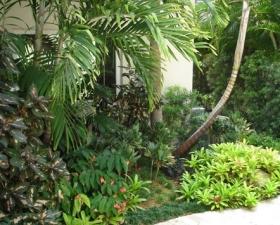 Exotic Landscape Design for Cutler Bay